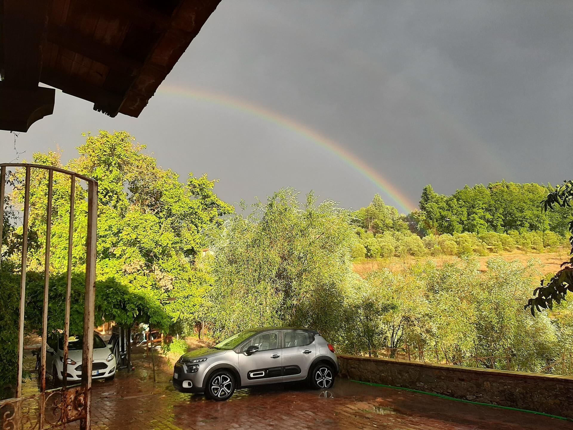 Cottage | Khuôn viên nơi lưu trú