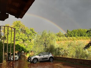 Property grounds - Charming 4-bed Cottage 15 Minutes From Florence (Impruneta)