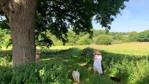 Paisagem rural com uma grande árvore, um campo cercado e uma pessoa de vestido branco passeando com um cachorro.