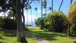 A well-maintained garden with a curved pathway, palm trees, and lush greenery. - Serene Private Ocean View  AC  Pool (Lahaina)