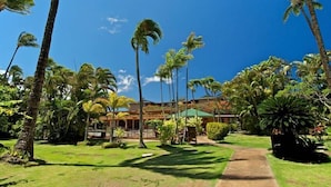 Un complexe hôtelier tropical avec des palmiers, un sentier et un bâtiment doté d’un toit végétalisé.