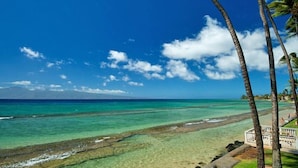 Une plage à l’eau turquoise et limpide, bordée de palmiers, d’où l’on aperçoit l’océan au loin.