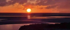 Cabin, 1 Queen Bed | Beach - African Safari Tent 5 - Dog Friendly (Gaerwen)