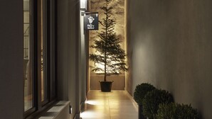 A narrow, well-lit corridor with a potted tree and planters along the walls, leading to a building entrance. - The Storyteller House (Kalabaka)