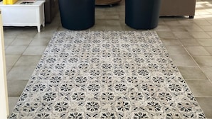 Una sala de estar con una televisión de pantalla plana mostrando una selección de películas, dos sofás, una mesa de centro y una alfombra estampada.