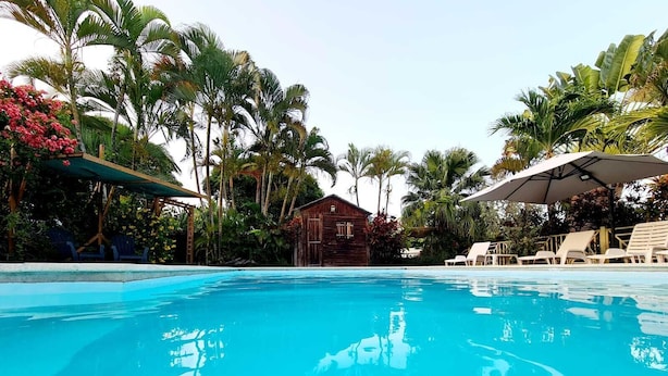 Piscina azul y cristalina rodeada de palmeras y un edificio de madera.