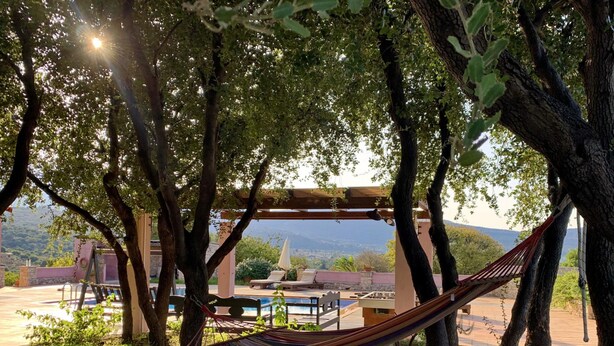 A hammock under a pergola, surrounded by trees and a pool area.