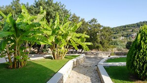 A stone pathway leading through a garden with banana trees and a stone wall.