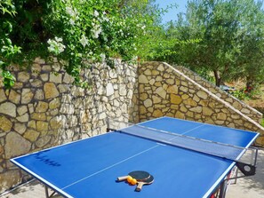 Una mesa de ping pong azul con una red, una paleta y dos pelotas, ubicada frente a una pared de piedra y rodeada de follaje.