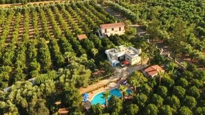 An aerial view of a property with a large house surrounded by rows of trees, a swimming pool, and a well-maintained garden. - Maros Spitaki in Varipetro (Chania)