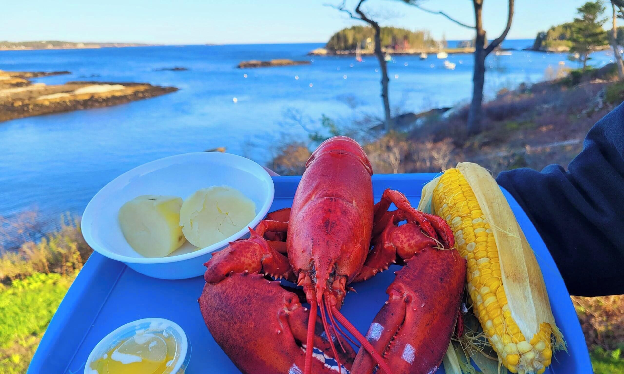 A tray with a lobster, corn on the cob, and a bowl of potatoes.