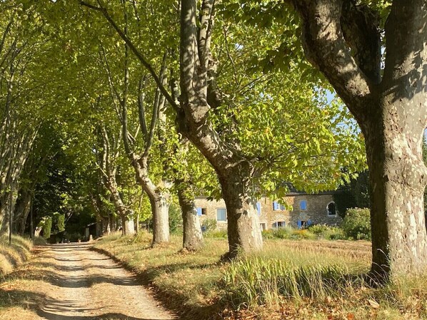 Overnatningsstedets område