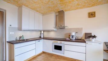 Fridge, oven, stovetop, dishwasher