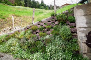 Ein Garten mit einer Steinmauer, verschiedenen Pflanzen und einem Holzzaun.