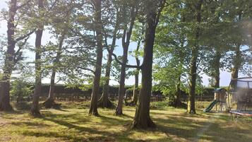 Guests can enjoy a serene outdoor space surrounded by tall trees and a playground for kids.