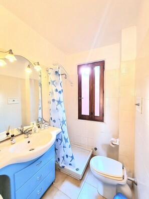 Een badkamer met een wastafel, spiegel, douchegordijn, toilet en een raam.