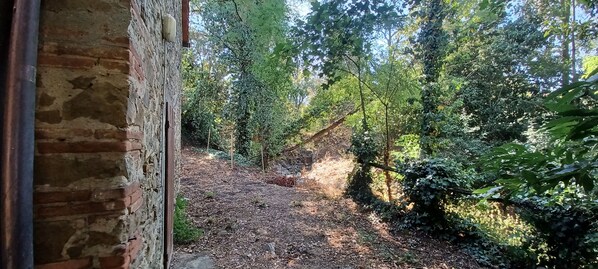 Parco della struttura