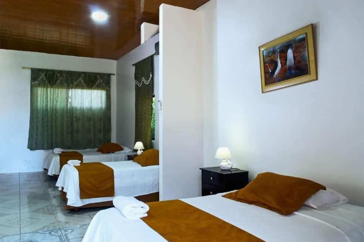Minibar, wifi gratis y ropa de cama