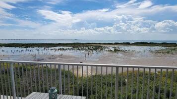 Casa de ciudad, varias camas, patio | Áreas de la propiedad