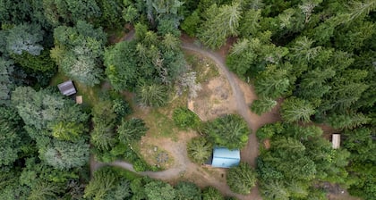 Gorgeous 2BR cabin on secluded lot minutes from Hood Canal activities
