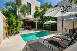 Outdoor pool - Minimalist San Pancho Villa (San Francisco)