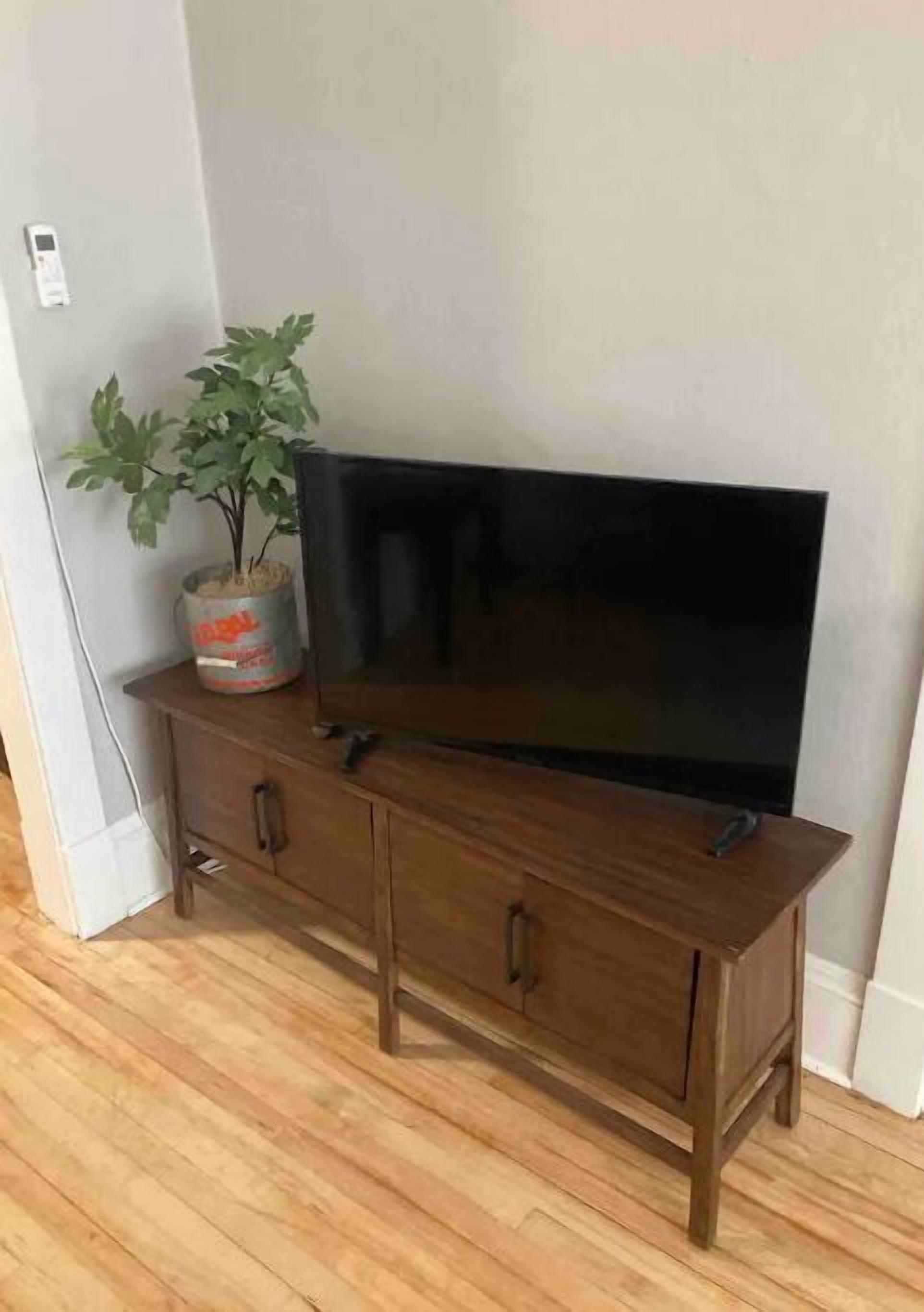 Un mueble bajo de madera con un televisor de pantalla plana, una planta en maceta y un control remoto.