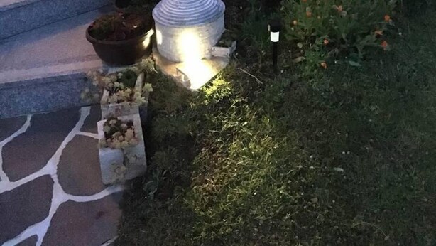 A well-lit garden area with a stone staircase, a small tree, and various flowering plants. - Cosy Apartment Near the Beach in Medulin, Croatia (Medulin)