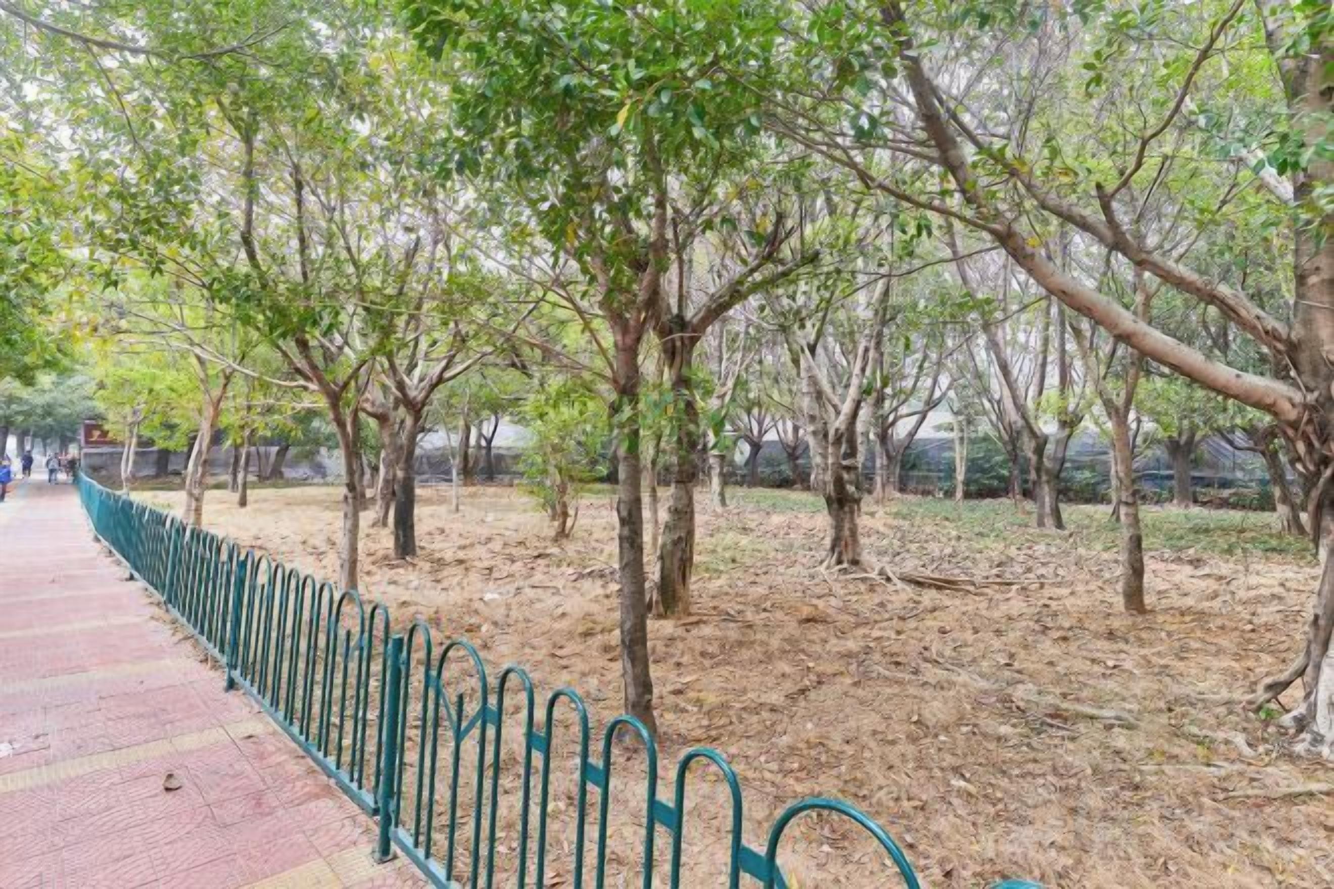 Un sendero bordeado de árboles y una valla de metal.
