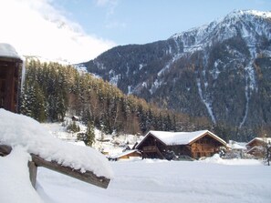 Exterior - Independent accommodation of 68m² in Chalet "les Bois de Chamonix". (Chamonix-Mont-Blanc)
