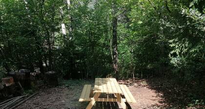 Chalet au Coeur de la Forêt du Boreon Pour les Amoureux de la Nature
