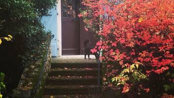 Un escalier menant à l’entrée d’un bâtiment, entouré de feuillage d’automne.