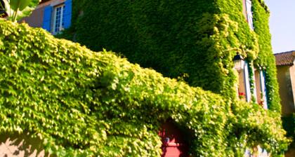 Charming house in the heart of Castelfranc