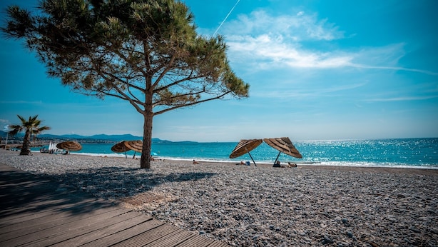 A beach with a wooden deck, umbrellas, and a tree. - Comfort studio - Double bed + single bed - FAME MARINA BAIE DES ANGES (Villeneuve-Loubet)