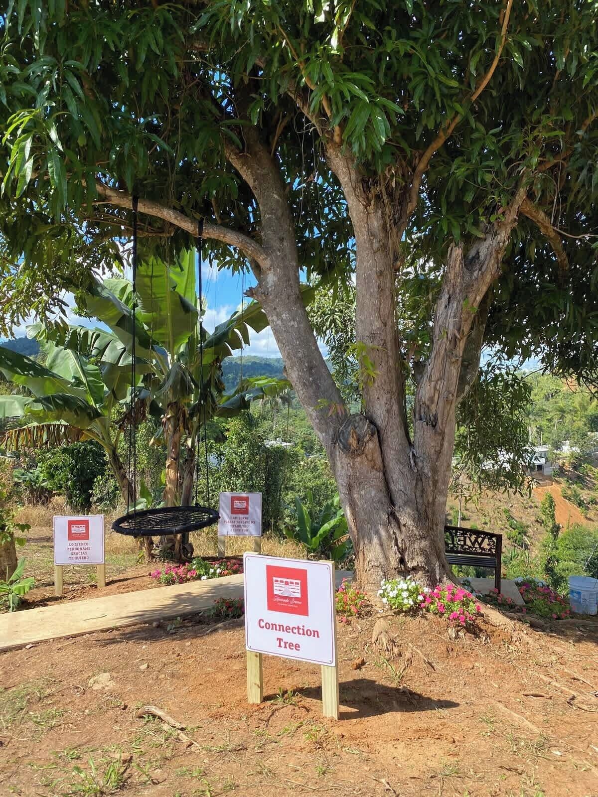 One of Hacienda Serena’s experiences. Our Connection Tree to the Universe. 