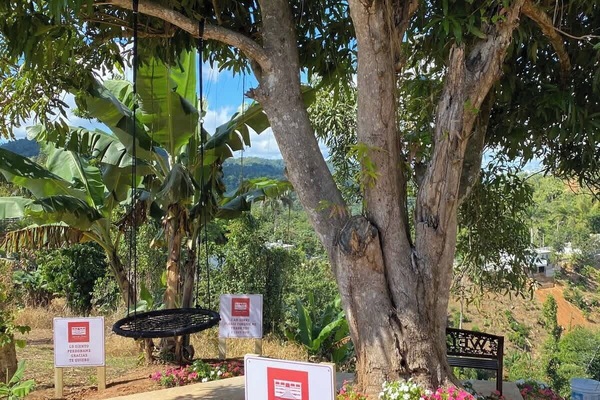 One of Hacienda Serena’s experiences. Our Connection Tree to the Universe.