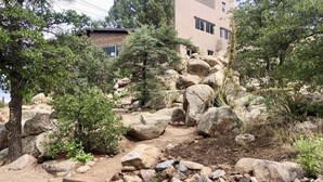 Un jardín ajardinado con rocas grandes y árboles, un edificio al fondo y un cielo despejado.