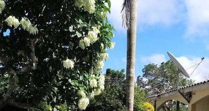 Apartment 5 minutes from the Amazon Museum and Balnearios