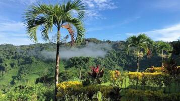 Paesaggio verde e rigoglioso con una palma in primo piano e una catena montuosa sullo sfondo.