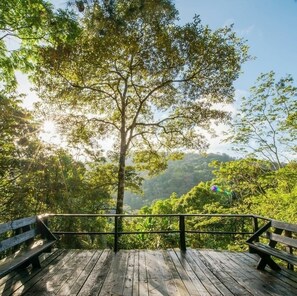 Terrain de l’hébergement 