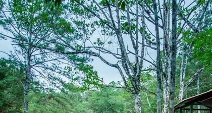 Casa de Campo / E C O Aventura / Clima 18 a 25