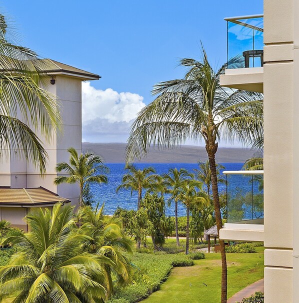A resort with a view of the ocean, palm trees, and a building with a balcony. - HONUA KAI RESORT-Hokulani 314 - 106 ⭐️⭐️⭐️⭐️⭐️ FIVE STAR REVIEWS - OCEAN & MNT VIEWS (Lahaina)