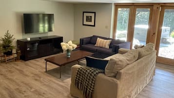 Smart TV, fireplace, books