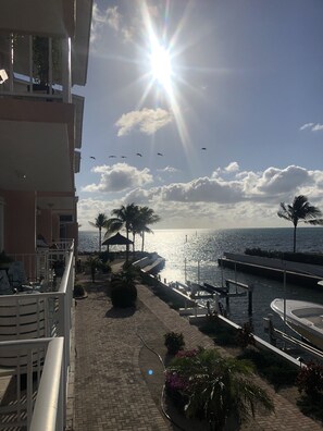 المنطقة المحيطة بالمنشأة