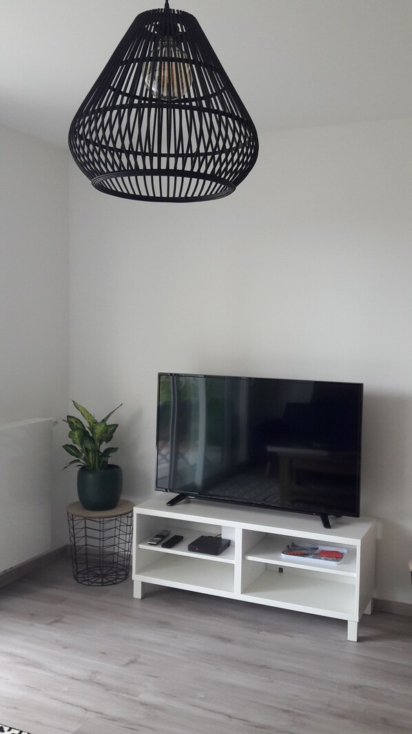 Een smart-tv en boeken