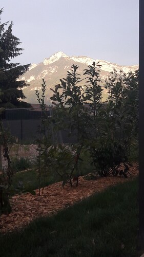 appartement T2 et jardin