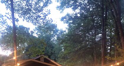 Secluded Peaceful Cabin in the Forest