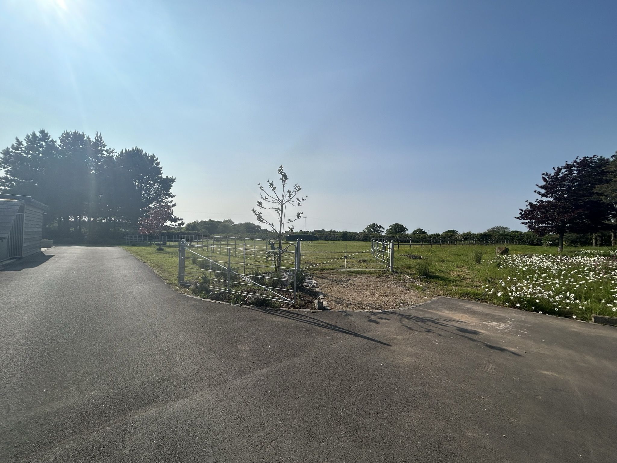 Un chemin de campagne avec une barrière en métal et un petit arbre.