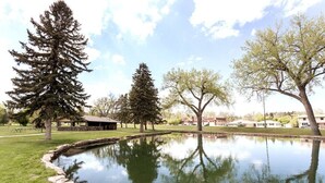Ein ruhiger Park mit Teich, umgeben von alten Bäumen und einem kleinen Pavillon.