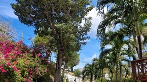 A paved pathway leading to a gated entrance with a car parked inside. - Spacious 2BR Villa, Stunning Caribbean Sea View, 10 mins from the beach! (Charlotte)