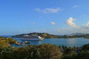 Een cruiseschip aangemeerd in een haven, met uitzicht op een kustplaatsje en bergen op de achtergrond.